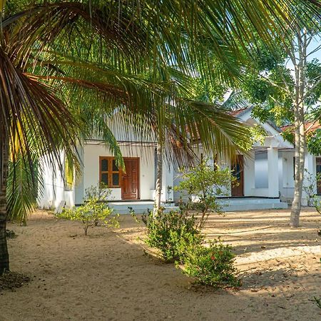 Surf & Yoga Arugam Bay Hotell Exteriör bild