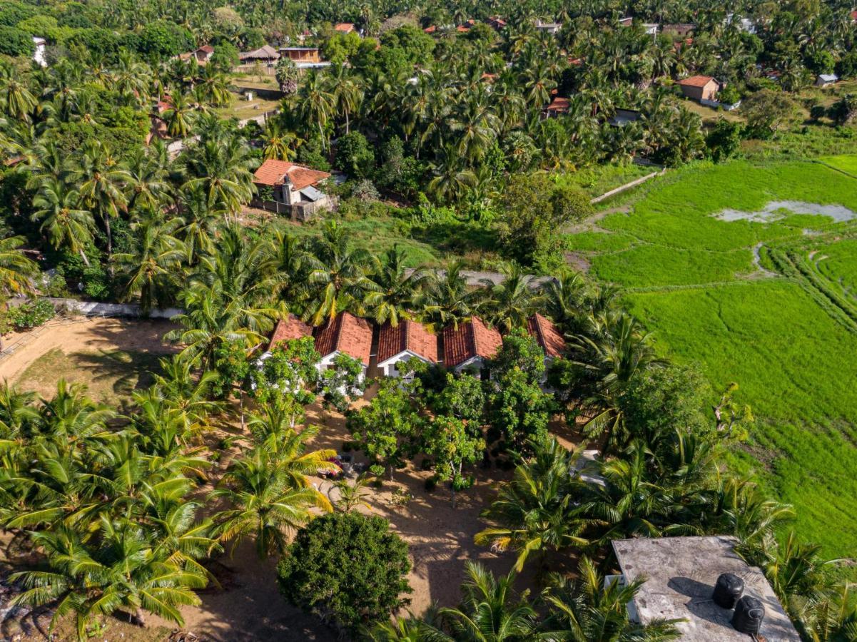 Surf & Yoga Arugam Bay Hotell Exteriör bild