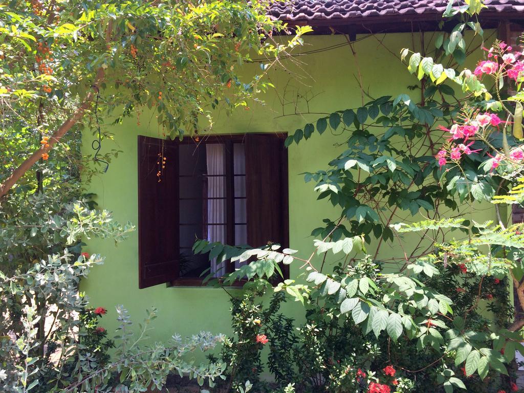 Surf & Yoga Arugam Bay Hotell Rum bild