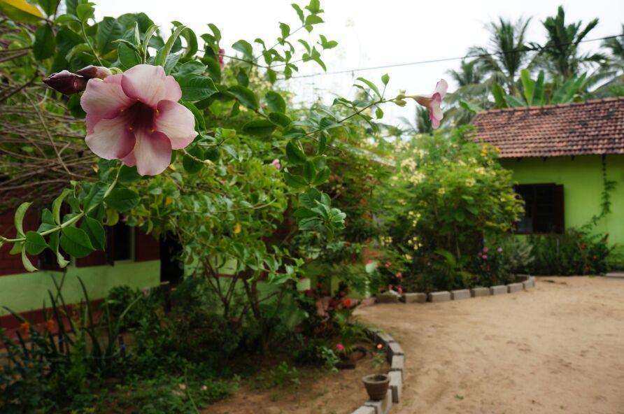 Surf & Yoga Arugam Bay Hotell Exteriör bild